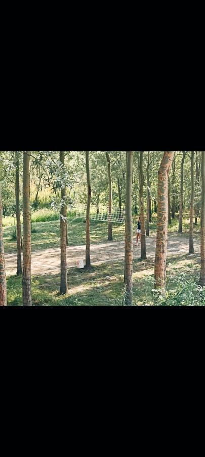 Vikendica Apartments Dunav Ms Celarevo Eksteriør bilde
